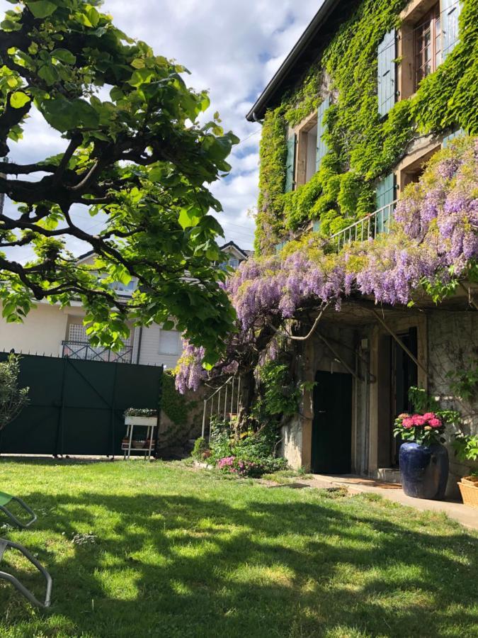 Le Clos Des Fontaines, A 5 Mn Du Lac Thonon-les-Bains Luaran gambar